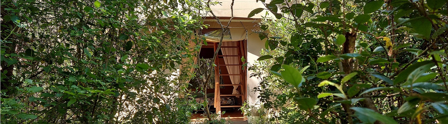 Cabane Familiale le Colombier